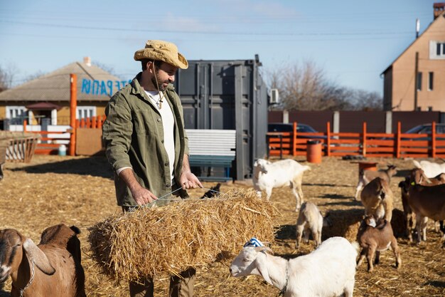 Jovem agricultor alimentando suas cabras com feno na fazenda