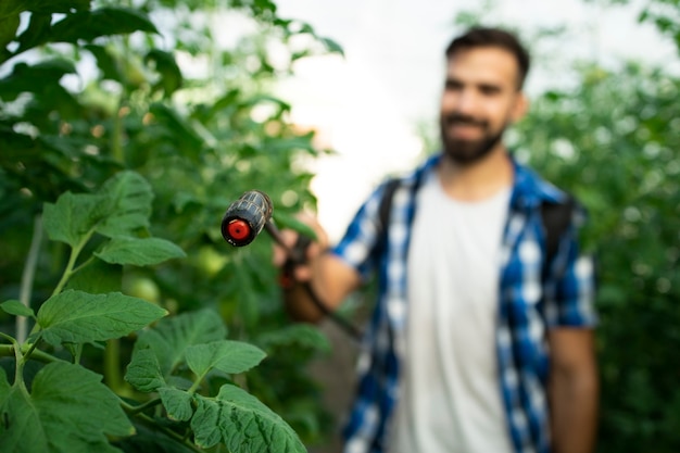 Jovem agricultor barbudo pulverizando plantas com pesticidas para se proteger contra doenças