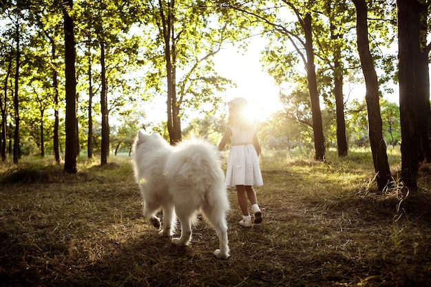 Jovem andando brincando com cachorro no parque ao pôr do sol