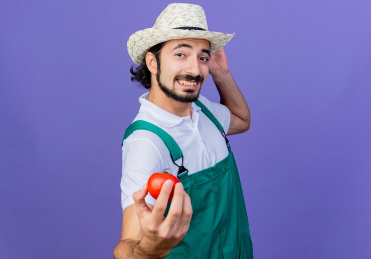 Foto grátis jovem barbudo jardineiro usando macacão e chapéu mostrando tomate fresco sorrindo alegremente em pé sobre a parede azul