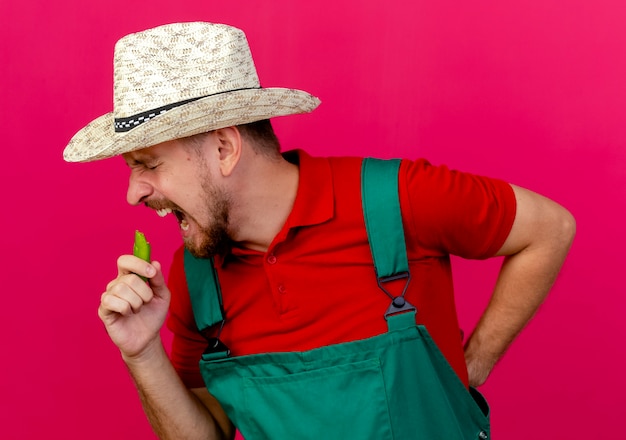 Jovem bonito jardineiro eslavo de uniforme e chapéu segurando pimenta e segurando a mão na cintura se preparando para morder pimenta