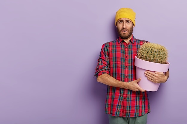 Jovem botânico descontente segura um grande vaso de cactos, usa camisa xadrez e chapéu amarelo, não quer se preocupar com a planta da casa, fica de pé contra a parede violeta com cópia