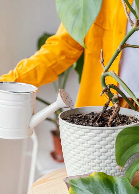 Jovem cuidando de plantas verdes