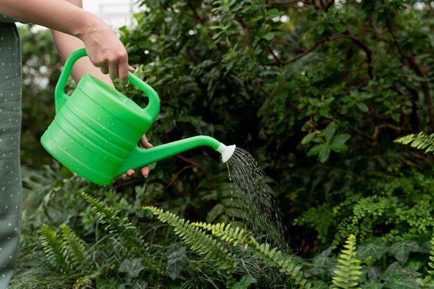 Jovem cuidando de suas plantas