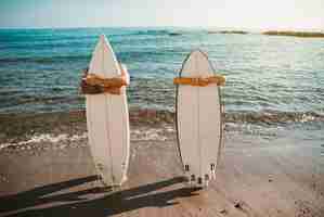 Foto grátis jovem e mulher com pranchas de surf na costa perto da água