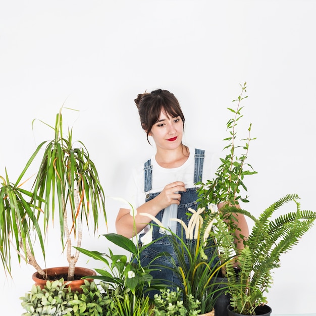 Foto grátis jovem florista feminina pulverizando água na planta com frasco de spray