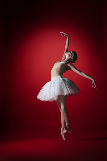 Jovem graciosa bailarina feminina ou bailarina clássica dançando no estúdio vermelho.