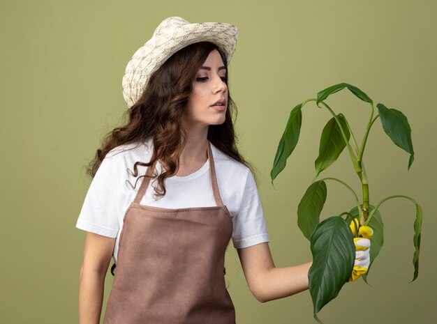 Jovem jardineira confiante em uniforme, usando luvas e chapéu de jardinagem, segurando e olhando para uma planta isolada na parede verde oliva com espaço de cópia