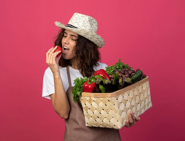 Jovem jardineira satisfeita de uniforme, usando chapéu de jardinagem, segurando uma cesta de vegetais, experimentando tomate isolado em rosa