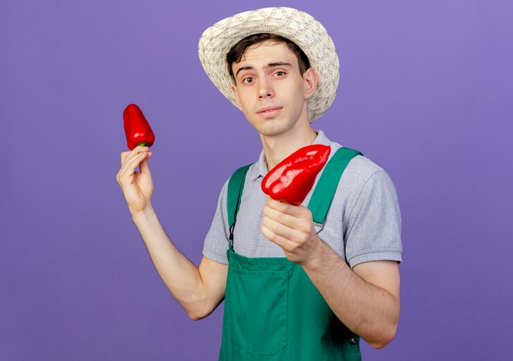 Foto grátis jovem jardineiro confiante usando chapéu de jardinagem segurando pimentas vermelhas