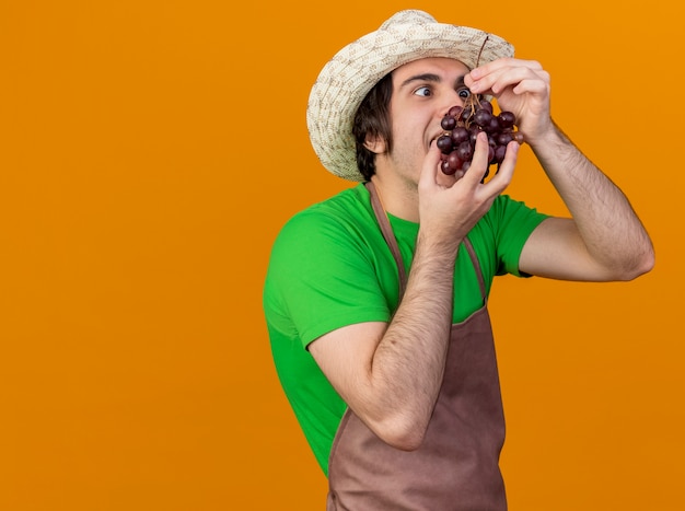 Foto grátis jovem jardineiro de avental e chapéu segurando cacho de uva vai prová-lo em pé sobre fundo laranja