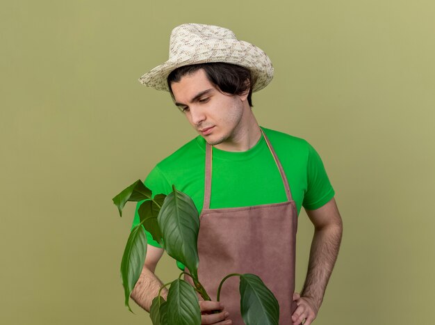 Jovem jardineiro de avental e chapéu segurando uma planta olhando para ela com uma expressão triste em pé sobre um fundo claro