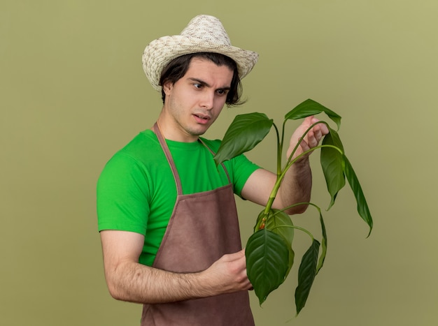 Foto grátis jovem jardineiro de avental e chapéu segurando uma planta olhando para ela intrigado em pé sobre um fundo claro