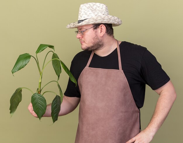 Jovem jardineiro pensando usando chapéu de jardinagem, segurando e olhando para uma planta, colocando a mão no quadril, isolada na parede verde oliva