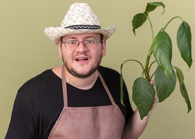 Jovem jardineiro satisfeito com um chapéu de jardinagem segurando uma planta isolada na parede verde oliva