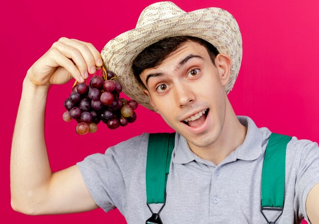 Jovem jardineiro surpreso com um chapéu de jardinagem segurando uvas
