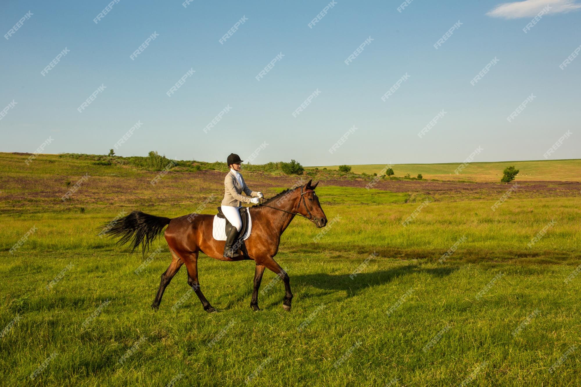 Jovem mostra pulando com cavalo - Fotos de arquivo #14202335