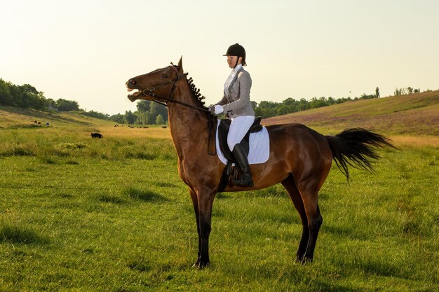 Jovem mulher andando a cavalo no campo verde. Cavalgando. Concorrência. Passatempo