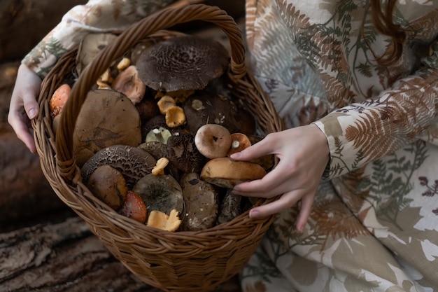 Jovem mulher em um vestido de linho recolhendo cogumelos na floresta