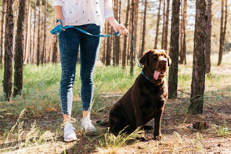 Foto grátis jovem mulher fazendo um piquenique com seu cachorro