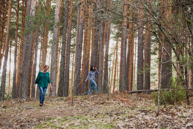 Jovem, mulheres, andar, logo, árvores, floresta