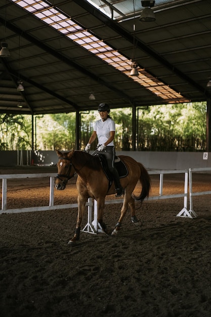 Foto grátis jovem treina em passeios a cavalo na arena. jovem mulher caucasiana em roupas formais cavalgadas pela arena arenosa. um cavalo de pedigree para o esporte equestre. a desportista em um cavalo