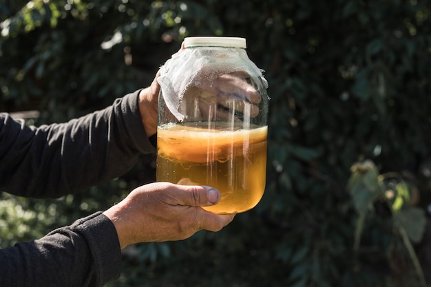 Kombucha fermentado caseiro ou cidra em um copo. o chá de kombuchá é fonte de probióticos, rico em antioxidantes e contém vitaminas e minerais.
