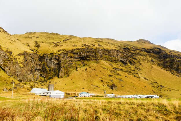 Lado do país islandês