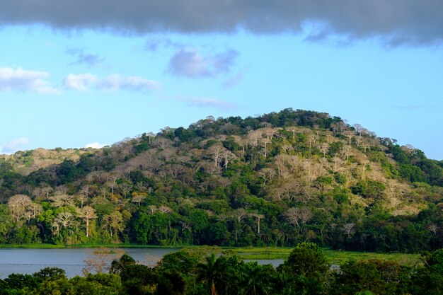 Lago cercado por colinas cobertas por florestas sob um céu nublado e luz do sol durante o dia