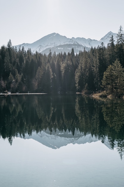 Lago cercado por montanhas e florestas com árvores refletindo na água