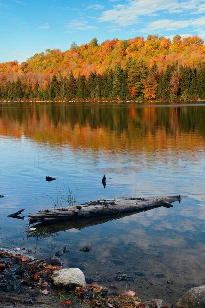 Lago com folhagem de outono, tronco de madeira na costa e montanhas com reflexo na Nova Inglaterra Stowe