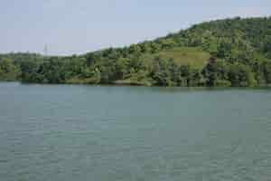 Foto grátis lago com uma montanha com árvores