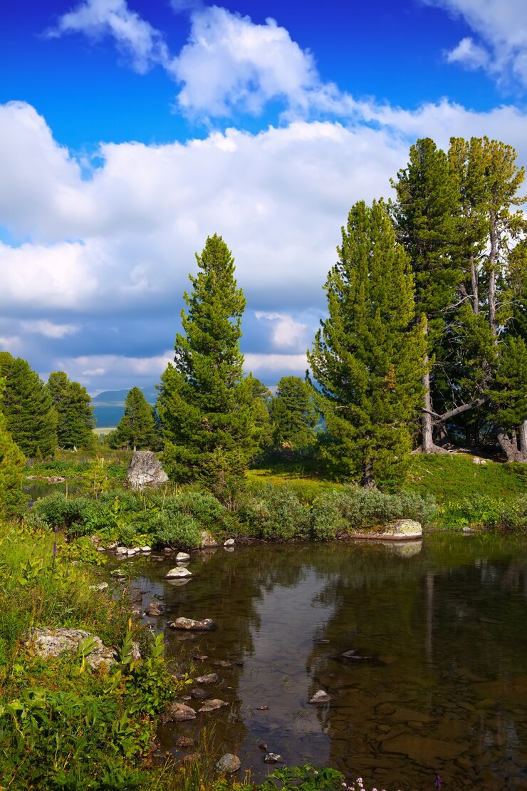Foto grátis lago das montanhas