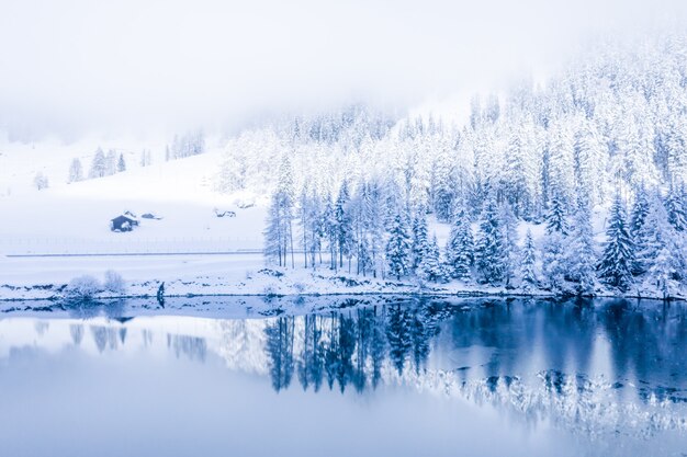 Lago de inverno mágico da Suíça no centro dos Alpes, cercado pela floresta coberta pela neve