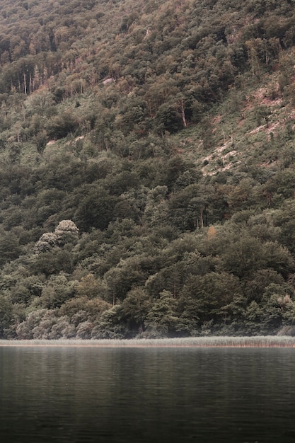 Foto grátis lago idílico sob o pé da montanha