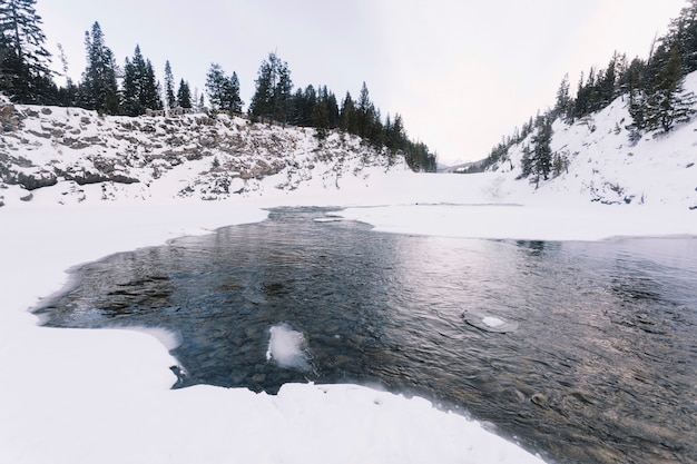 Lago no bosque nevado