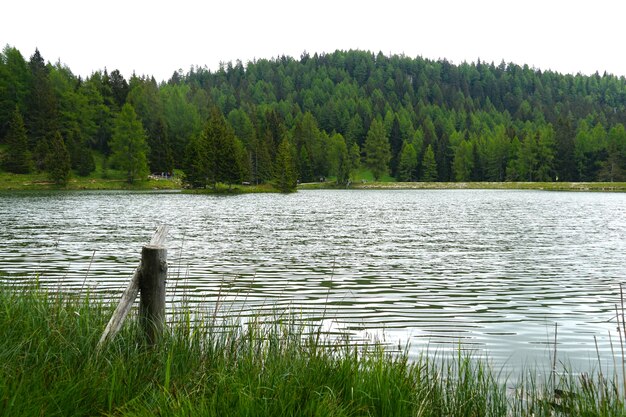 Lago Tret cercado por montanhas cobertas por florestas em Trentino, Itália