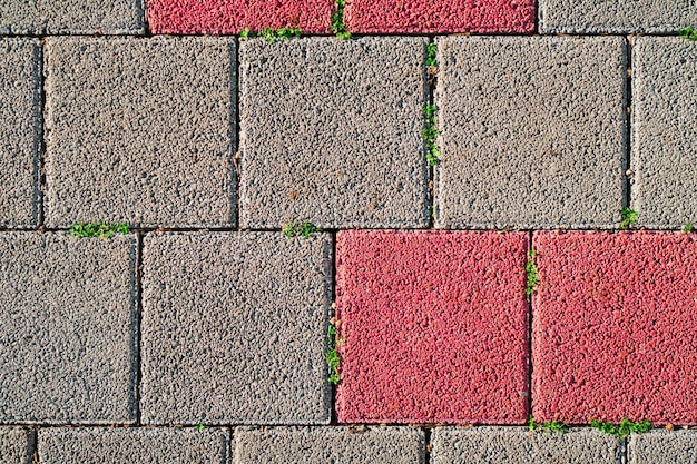 Lajes de pavimentação multicoloridas e uma pequena grama verde crescendo entre elas. Vista superior dos ladrilhos vermelho-acinzentados. Uso de materiais reciclados para criar trilhas, melhorando a vida local.