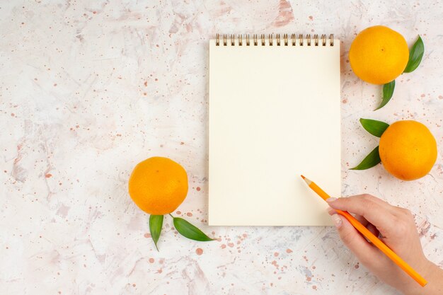 Lápis de bloco de notas de mandarinas frescas de vista superior em mão feminina em superfície brilhante isolada com espaço livre