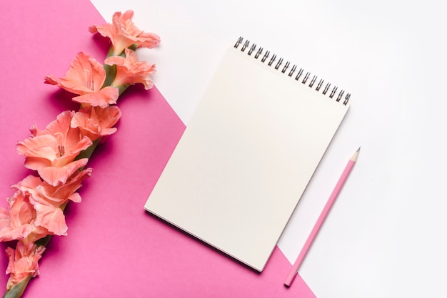 Foto grátis lápis rosa; bloco de notas espiral em branco com belas flores em fundo duplo rosa e branco