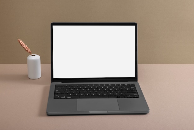 Laptop de alto ângulo e arranjo de plantas