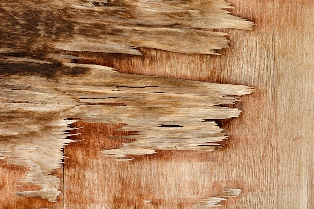 Foto grátis lascar madeira com superfície envelhecida