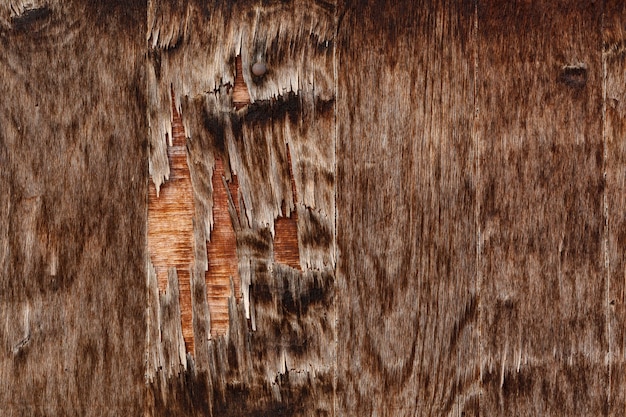 Foto grátis lascas de madeira envelhecidas e gastas