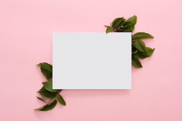 Layout criativo feito de folhas verdes com cartão de papel no fundo rosa
