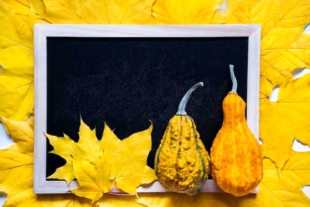 Layout plano de halloween com duas abóboras no fundo do bordo amarelo laranja deixa o conselho escolar para Foto Premium