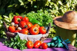 Foto grátis legumes em uma cesta sob a luz do sol