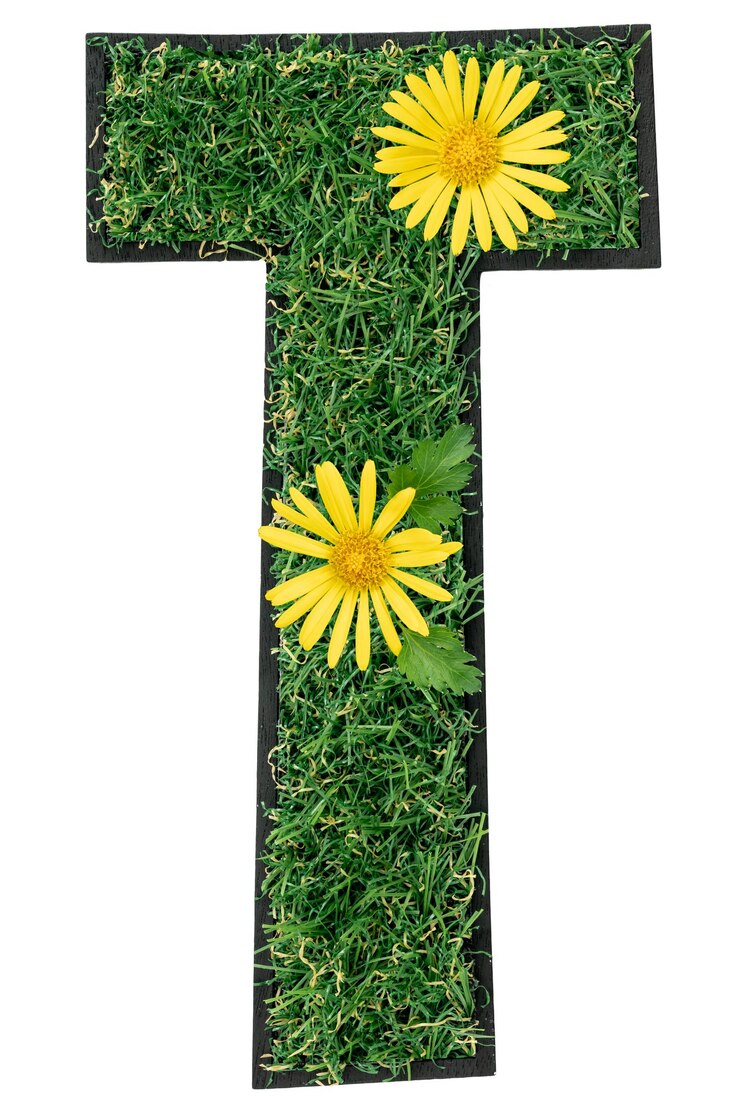 Foto grátis letra t feita de grama verde com flores isoladas em branco