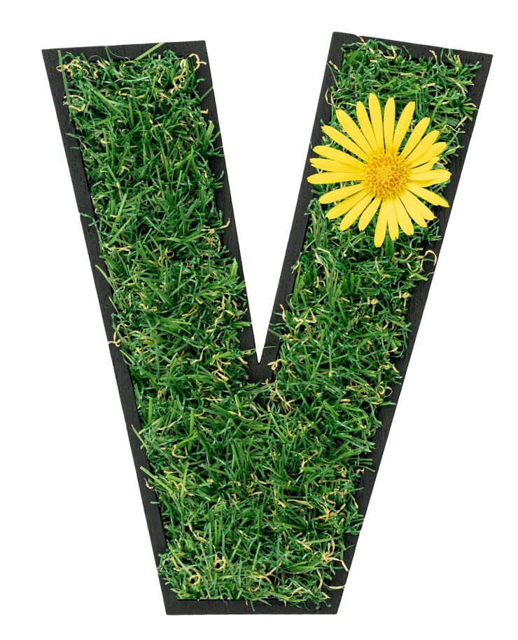 Foto grátis letra v feita de grama verde com flores isoladas em branco