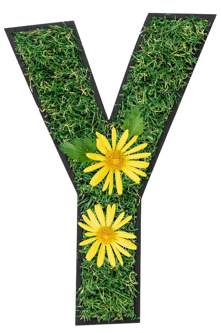Foto grátis letra y feita de grama verde com flores isoladas em branco