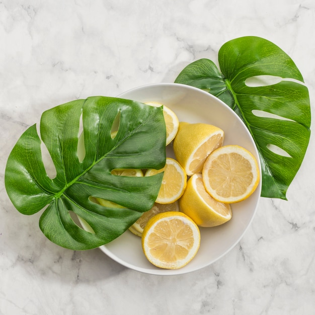 Limão fatiado com folhas de monstera